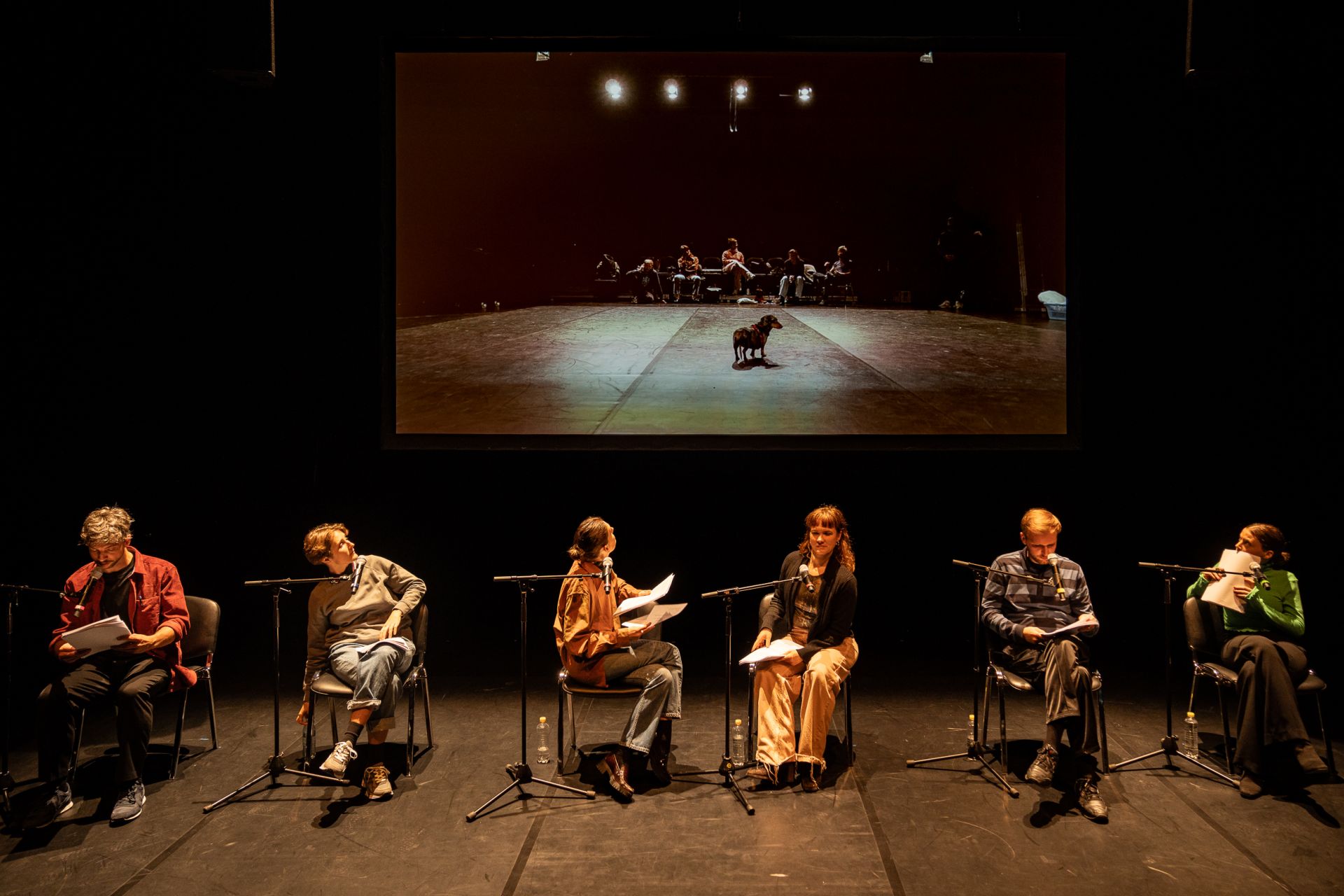 Die Hundekot Attacke